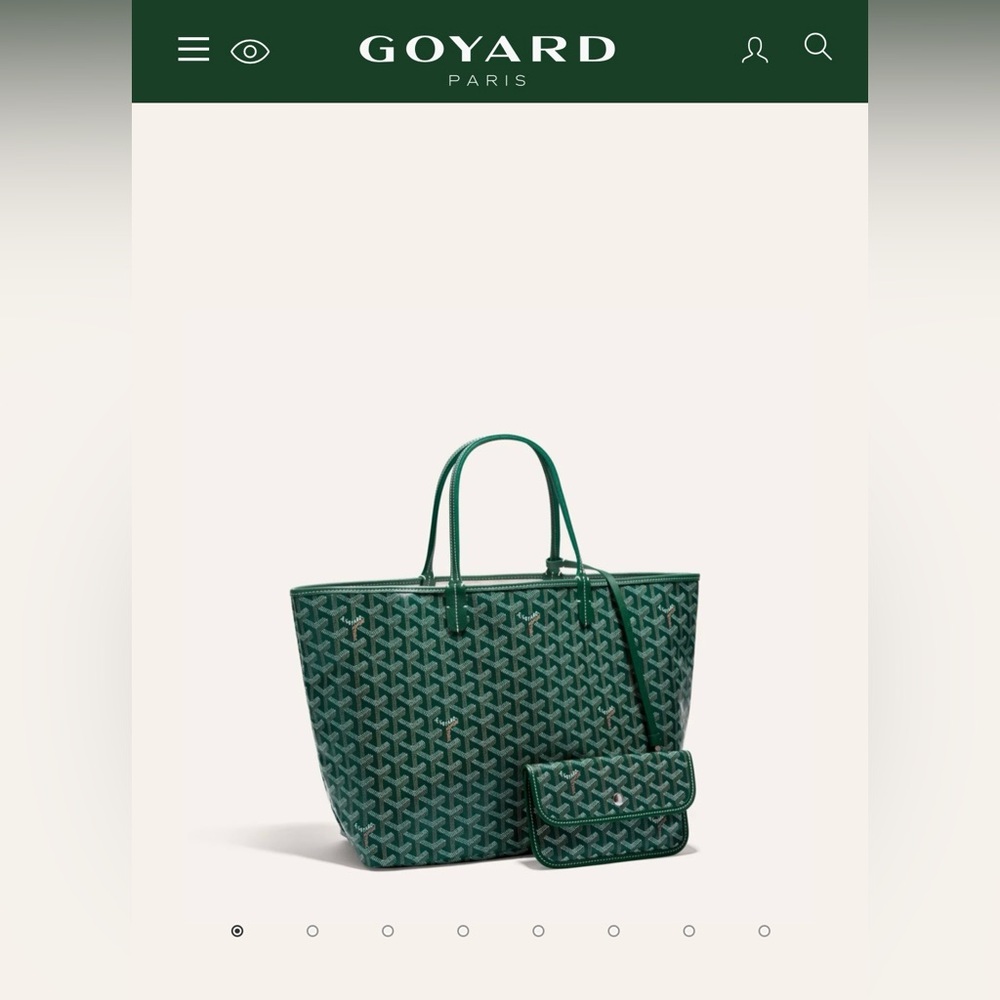 Goyard Saint Louis PM Bag NWT